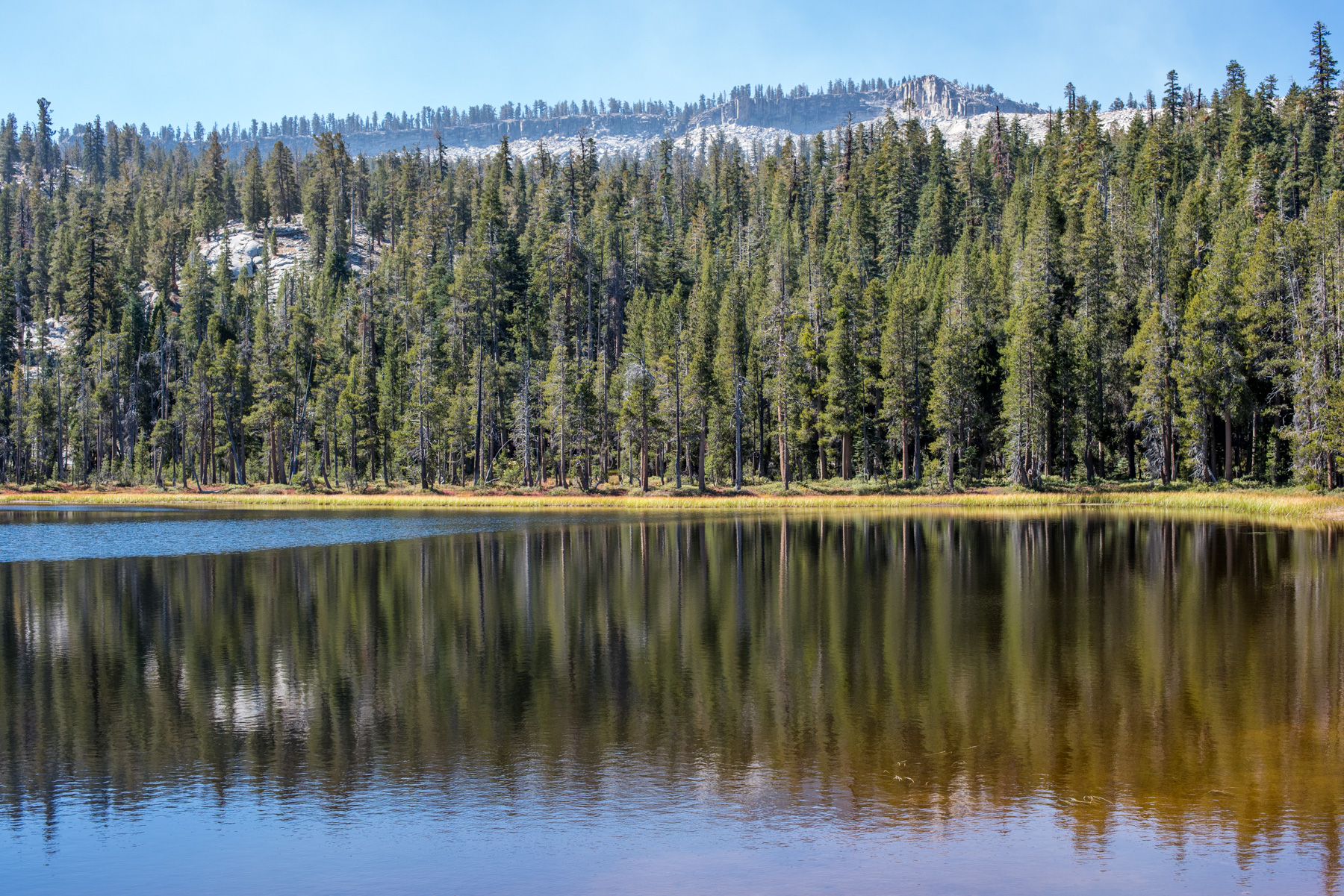 Edson Lake